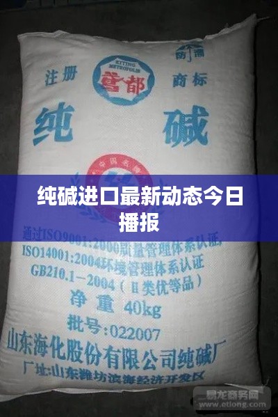 纯碱进口最新动态今日播报