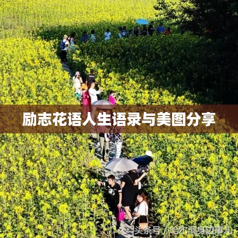 励志花语人生语录与美图分享