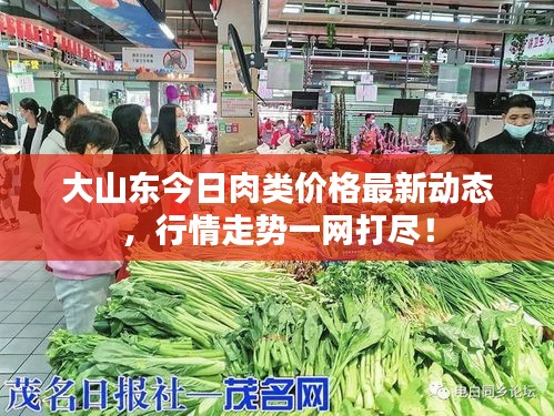 大山东今日肉类价格最新动态，行情走势一网打尽！