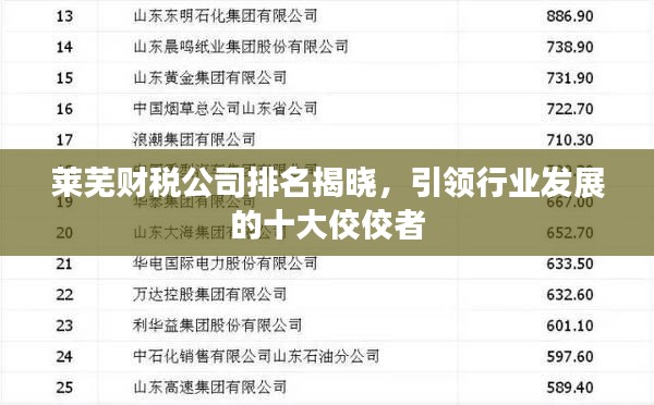 莱芜财税公司排名揭晓，引领行业发展的十大佼佼者