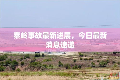 秦岭事故最新进展，今日最新消息速递