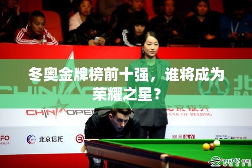 冬奥金牌榜前十强，谁将成为荣耀之星？