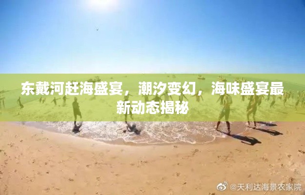 东戴河赶海盛宴，潮汐变幻，海味盛宴最新动态揭秘