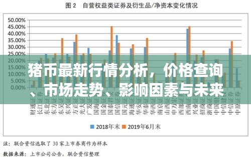 猪币最新行情分析，价格查询、市场走势、影响因素与未来展望