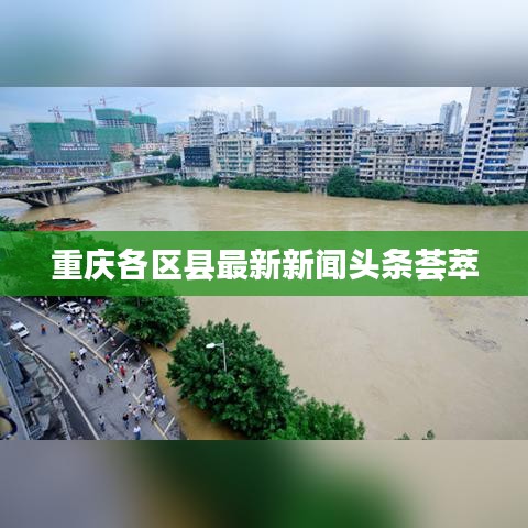 重庆各区县最新新闻头条荟萃
