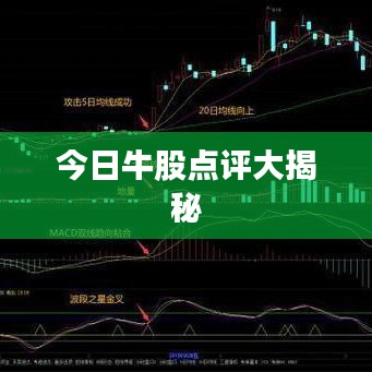 今日牛股点评大揭秘