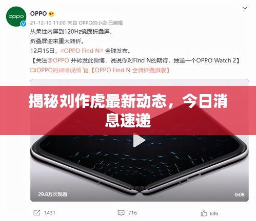 揭秘刘作虎最新动态，今日消息速递