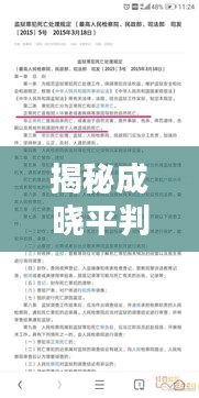 揭秘成晓平判决书，百度权威收录，法律细节全解析