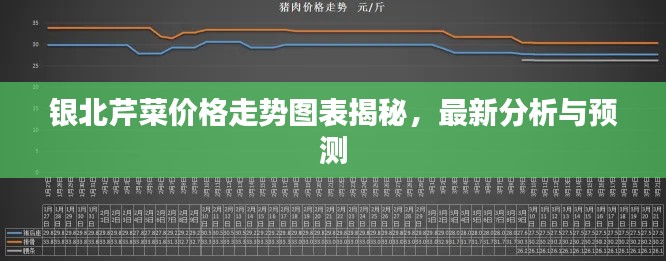 银北芹菜价格走势图表揭秘，最新分析与预测