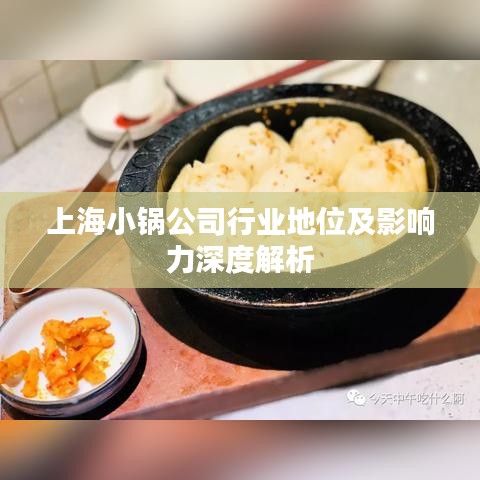 上海小锅公司行业地位及影响力深度解析