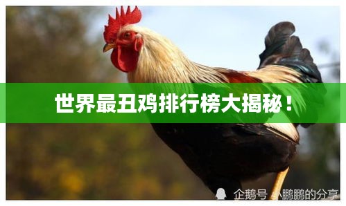 世界最丑鸡排行榜大揭秘！
