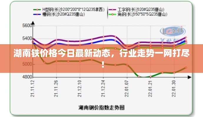 湖南铁价格今日最新动态，行业走势一网打尽！