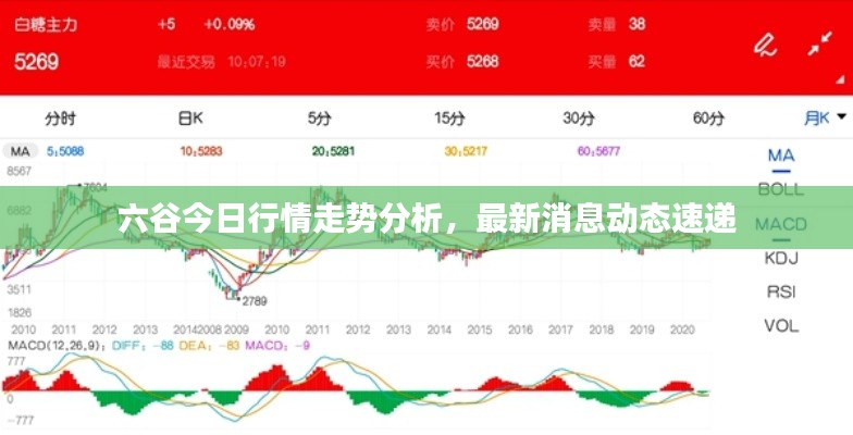 六谷今日行情走势分析，最新消息动态速递