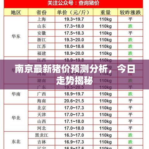 南京最新猪价预测分析，今日走势揭秘