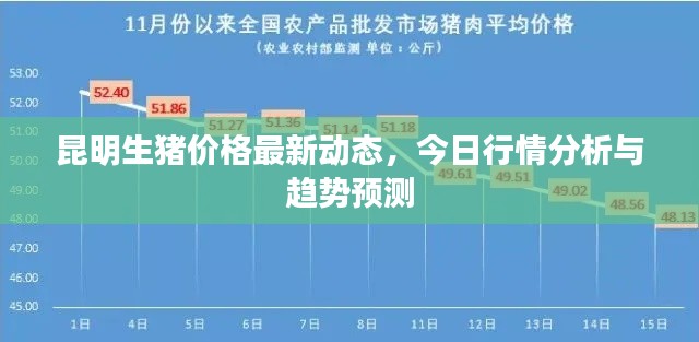 昆明生猪价格最新动态，今日行情分析与趋势预测