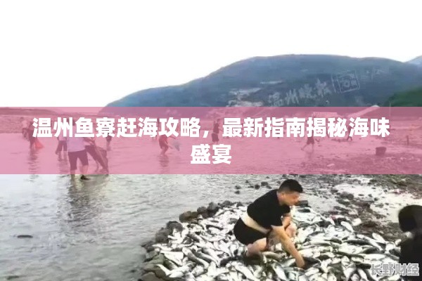 温州鱼寮赶海攻略，最新指南揭秘海味盛宴