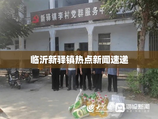临沂新驿镇热点新闻速递