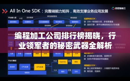 编程加工公司排行榜揭晓，行业领军者的秘密武器全解析
