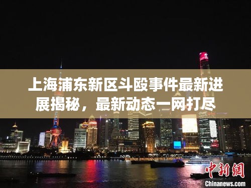 上海浦东新区斗殴事件最新进展揭秘，最新动态一网打尽