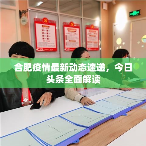 合肥疫情最新动态速递，今日头条全面解读