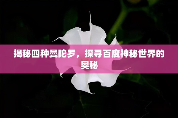 揭秘四种曼陀罗，探寻百度神秘世界的奥秘