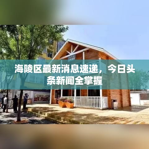 海陵区最新消息速递，今日头条新闻全掌握