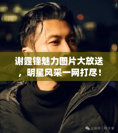 谢霆锋魅力图片大放送，明星风采一网打尽！