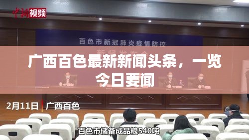 广西百色最新新闻头条，一览今日要闻