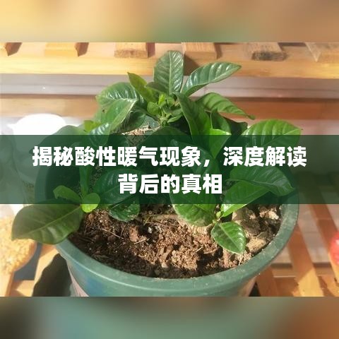 揭秘酸性暖气现象，深度解读背后的真相