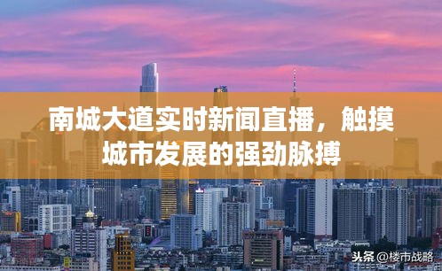 南城大道实时新闻直播，触摸城市发展的强劲脉搏
