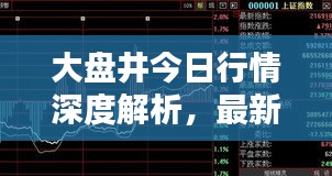 大盘井今日行情深度解析，最新信息一览