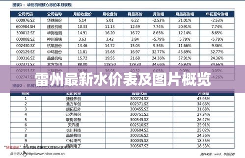 雷州最新水价表及图片概览