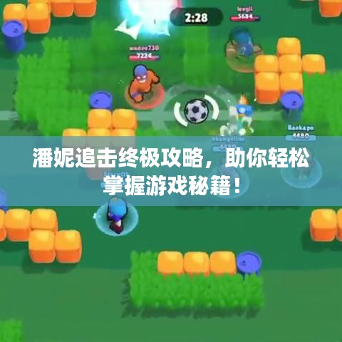 潘妮追击终极攻略，助你轻松掌握游戏秘籍！