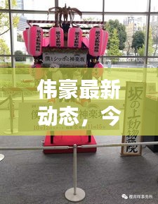 伟豪最新动态，今日消息一网打尽！