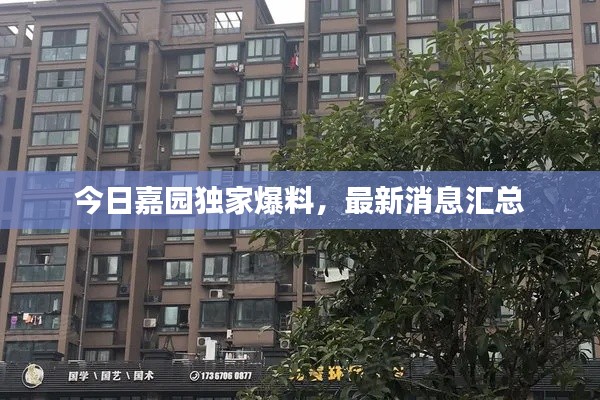 今日嘉园独家爆料，最新消息汇总