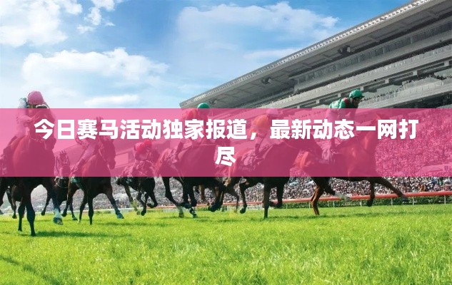 今日赛马活动独家报道，最新动态一网打尽