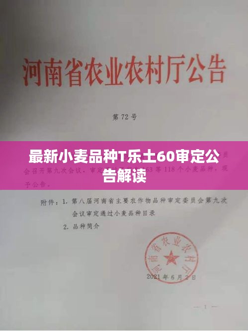 最新小麦品种T乐土60审定公告解读