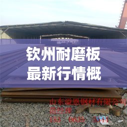 钦州耐磨板最新行情概览，今日市场动态全解析