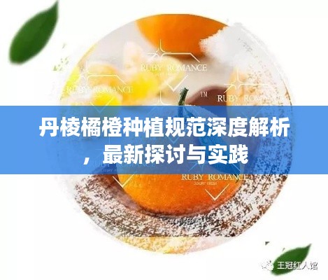丹棱橘橙种植规范深度解析，最新探讨与实践