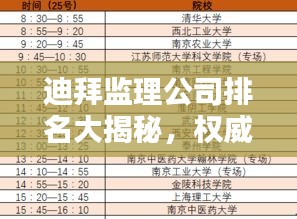 迪拜监理公司排名大揭秘，权威榜单，你不可错过！