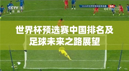 世界杯预选赛中国排名及足球未来之路展望