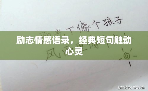 励志情感语录，经典短句触动心灵