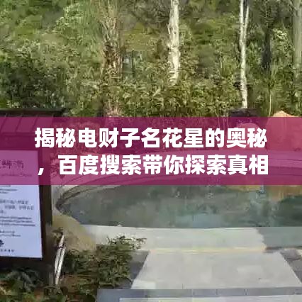揭秘电财子名花星的奥秘，百度搜索带你探索真相