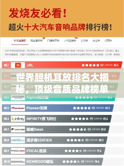 世界胆机耳放排名大揭秘，顶级音质品牌榜单！