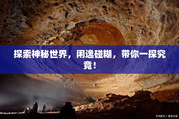 探索神秘世界，闲逸碰糊，带你一探究竟！