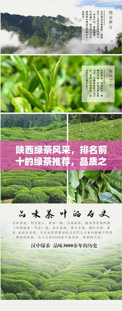 陕西绿茶风采，排名前十的绿茶推荐，品质之选！