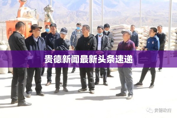 贵德新闻最新头条速递