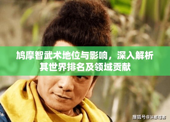 鸠摩智武术地位与影响，深入解析其世界排名及领域贡献