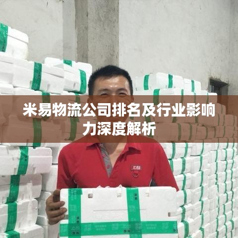 米易物流公司排名及行业影响力深度解析