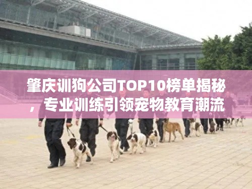 肇庆训狗公司TOP10榜单揭秘，专业训练引领宠物教育潮流
